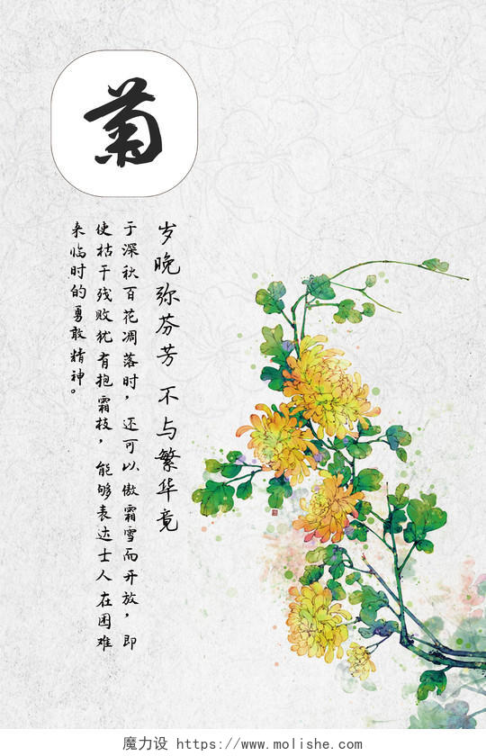 复古中国风菊花海报二十四节气春分